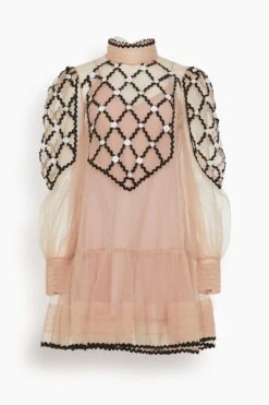 Rhue Beaded Mini Dress In Pink