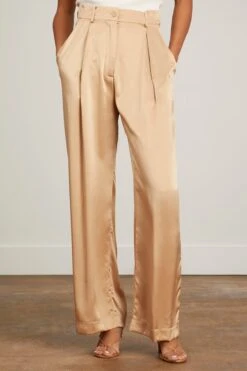 Emerson Pleated Silk Pant In Sandhill -DOROTHE Clothing Shop sablyn emerson pleated silk pant in sandhill 2