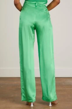 Wide Leg Pant In Midori -DOROTHE Clothing Shop sablyn wide leg pant in midori 3