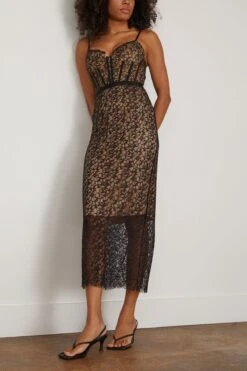 Ruth Lace Bustier Midi Dress In Black 8 Ruth Lace Bustier Midi Dress In Black -DOROTHE Clothing Shop simkhai RuthLaceBustierMidiDressinBlack 2